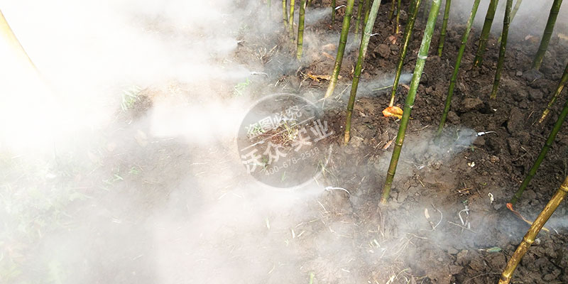 馬陵山二期瑤池仙境霧森項目